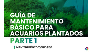 Guía de mantenimiento básico para acuarios plantados - Parte 1