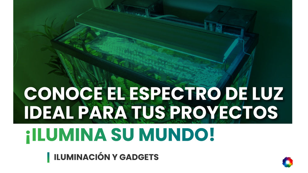 El espectro de luz ideal para tu acuario: guía práctica con las lámparas de LumaLight Studio