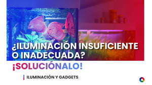 ¿Iluminación insuficiente o inadecuada? Cómo afecta tu acuario y cómo solucionarlo